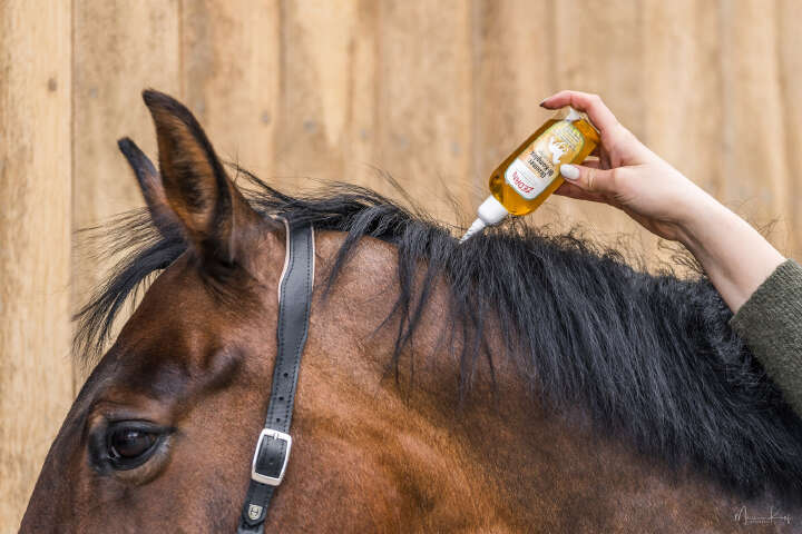 ZEDAN Ekzemer Öl-Komplex Intensivpflege 100ml